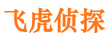 长岭市调查公司